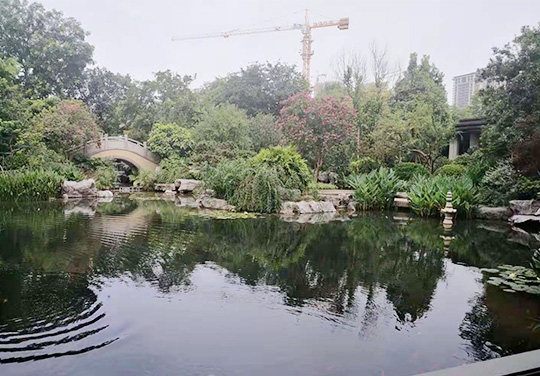 园林造景工程