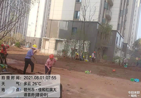 小区绿化工程
